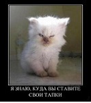 Аватара пользователя