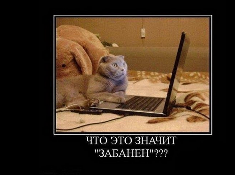 Забанен.png