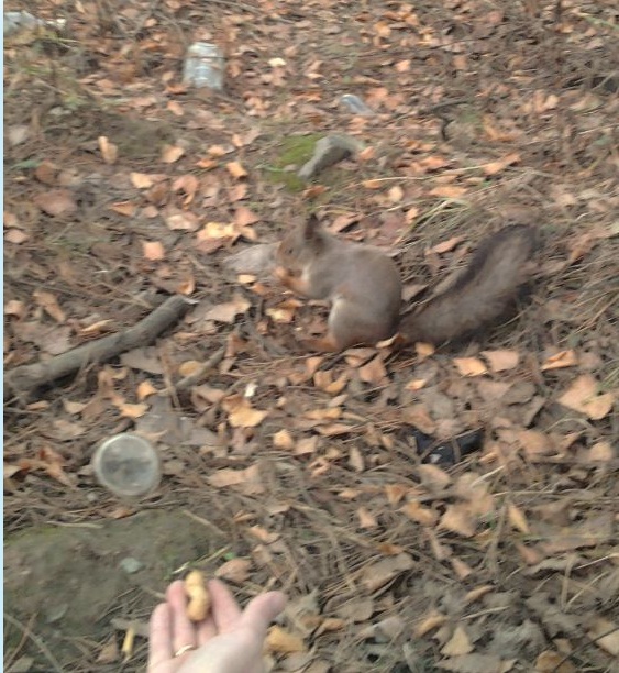 я и белка.jpg