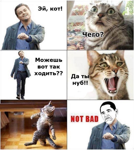 6vodxlV5XZM.jpg